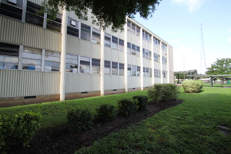 worthing high school