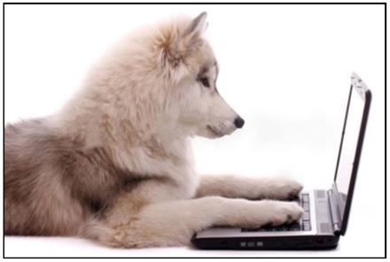Westbury High School Homepage