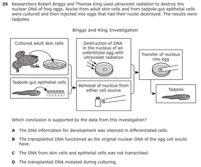 Biology staar test answers 2021. 