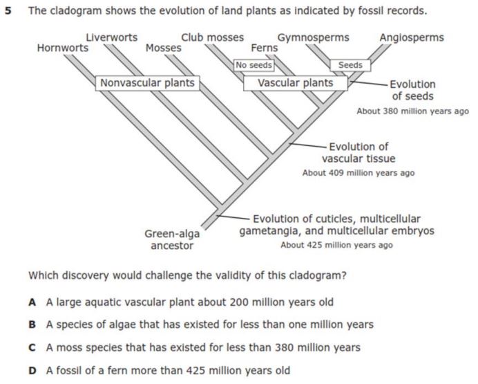 Biology Staar Questions / Staar Biology Eoc Free Download Pdf : Staar ® state of texas.