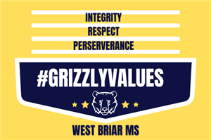 Grizzly Values