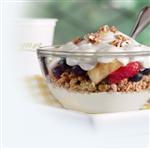 yogurt 