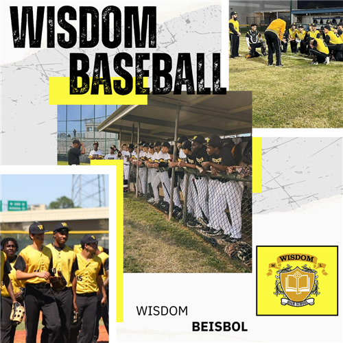 Wisdom Baseball