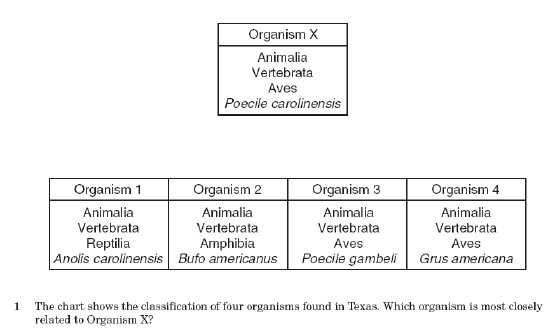 objective1_1_files/i0020000.jpg