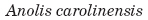 objective1_1_files/i0020001.jpg
