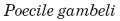 objective1_1_files/i0020002.jpg