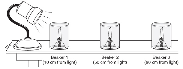 objective1_3_files/i0040000.jpg