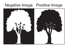 objective1_3_files/i0070001.jpg