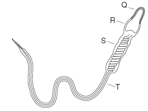 taks10_objective2_2_files/i0020000.jpg