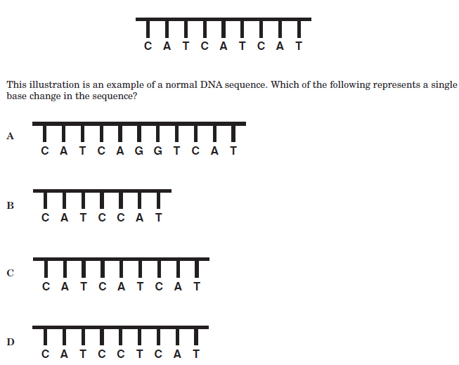 taks10_objective2_2_files/i0070000.jpg