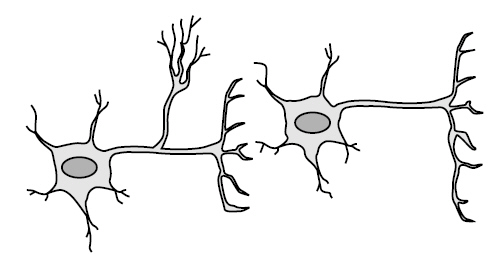 taks10_objective2_3_files/i0130000.jpg