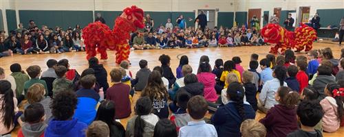 Lunar New Year 