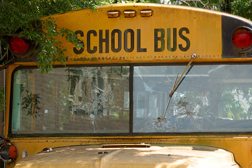 Bus Transportation