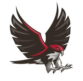 falcon falcon