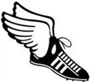 Flying Shoe 