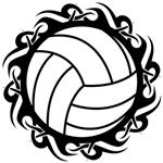 Volleyball 