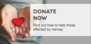 Donate Now 