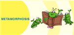 Metamorphisis 