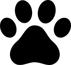 paw 