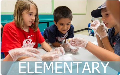 ELEMENTARY 