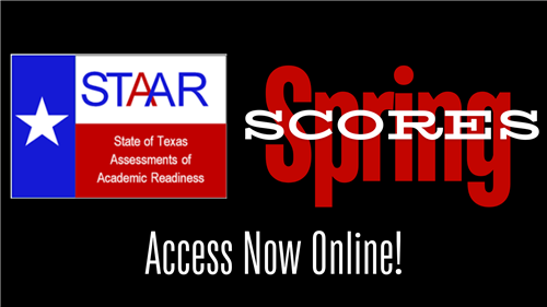  STAAR Scores