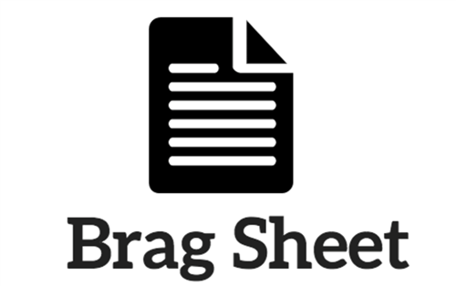 Image result for senior brag sheet