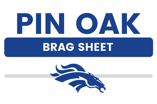 brag sheet