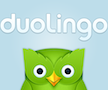 duolingo 