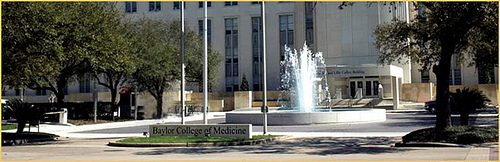 Baylor College of Medicine 