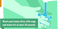  wash hands