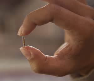 micro chip 