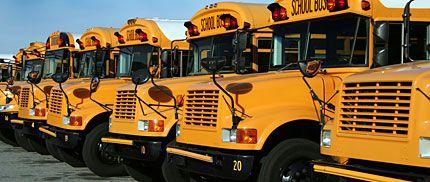 busses 