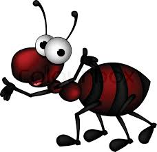 Ant 