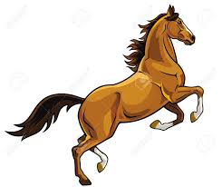 Stallion 
