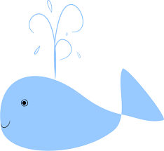 whale 