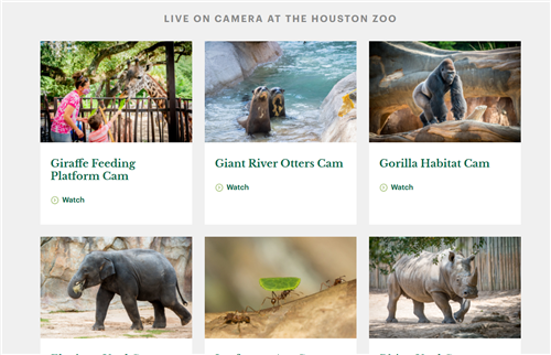 Houston Zoo