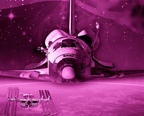 Space Wiggs logo 
