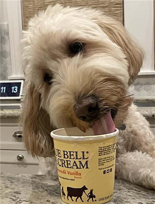 Ice Cream