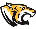Tiger Color 