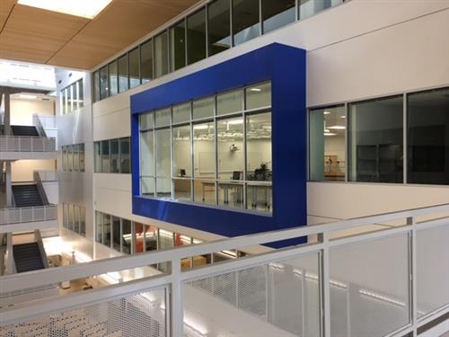 DeBakey HS 