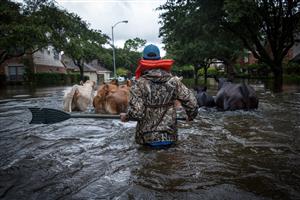 TexasFloods 