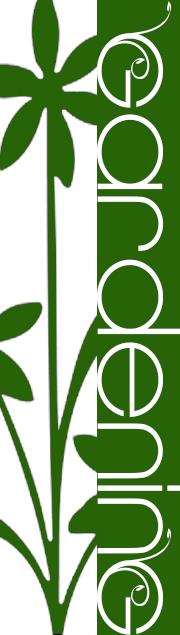 Gardening Club 