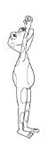 frog standing