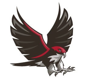 falcon falcon