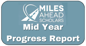 Mid Year Progress Report