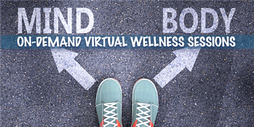wellness sessions