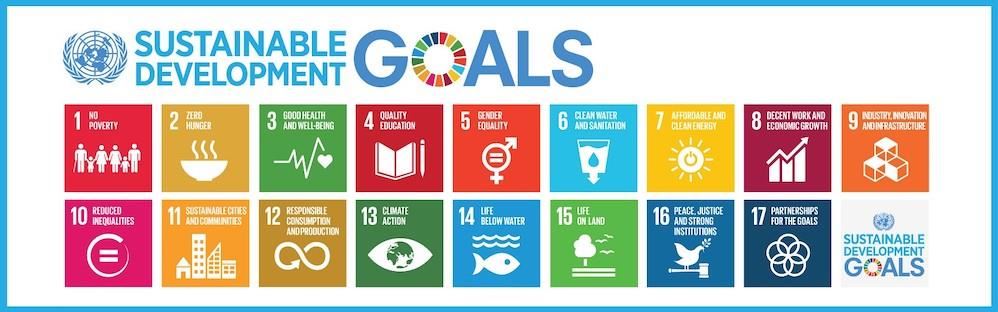 UN SDGs 