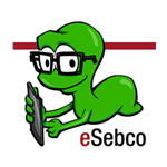 eSebco eBooks