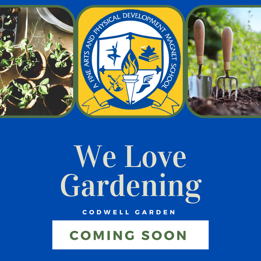 garden garden