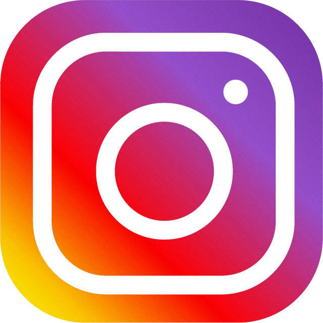 instagram button
